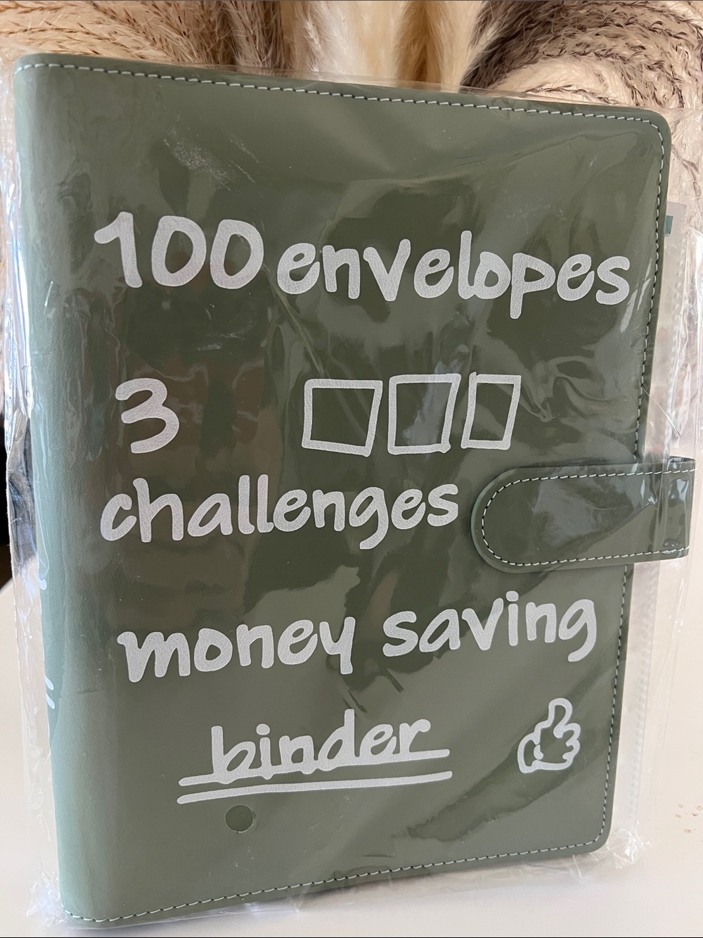 Money Saving Binder - Olive Green 100 Envelopes Organizer